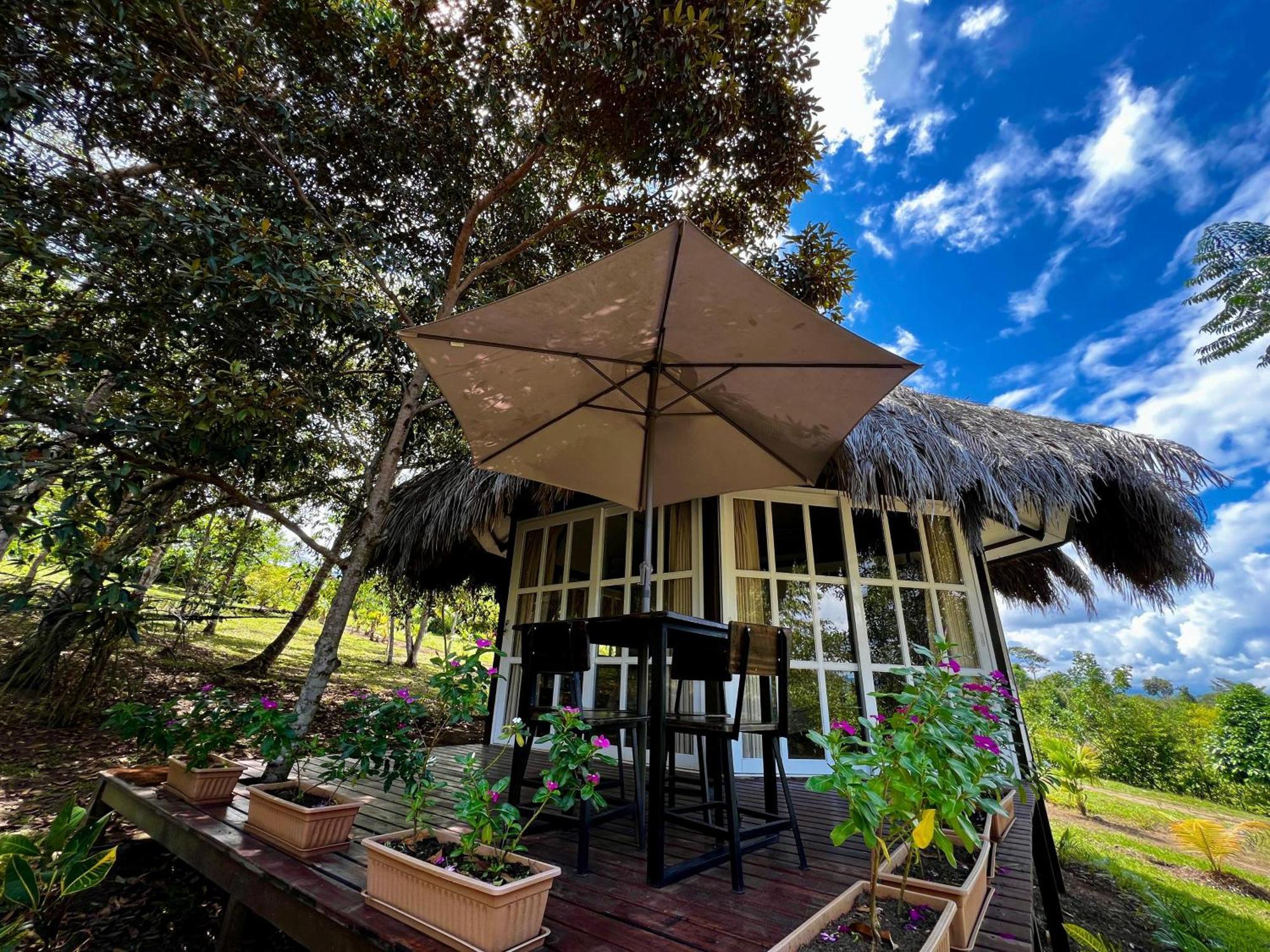 El Resort De Yanashpa - Tarapoto Zimmer foto